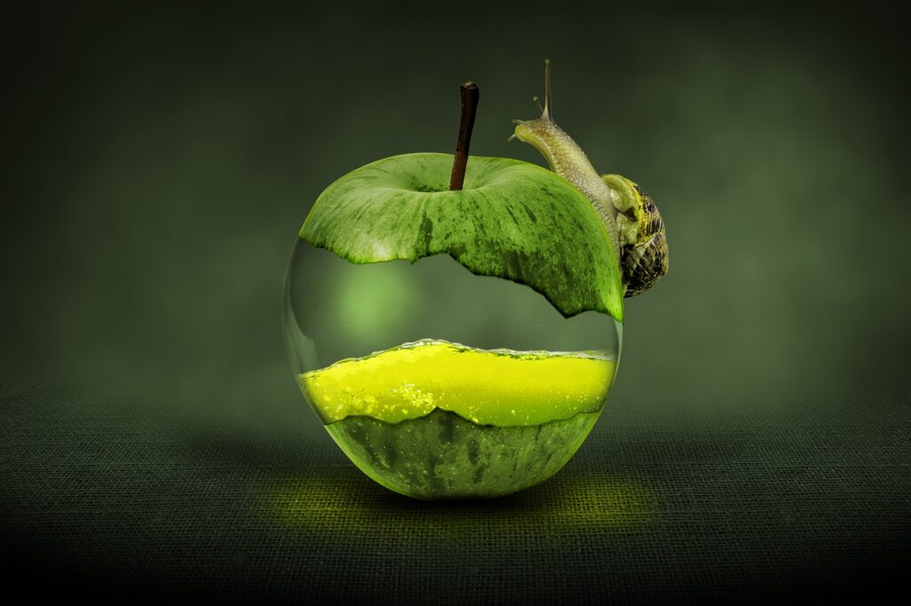 GMO Debate